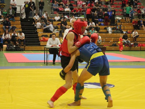 Wushu & Kung-Fu | Osnabrück | Flying Dragons e.V | Kampfsportverein