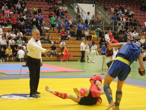 Wushu & Kung-Fu | Osnabrück | Flying Dragons e.V | Kampfsportverein