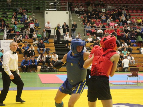 Wushu & Kung-Fu | Osnabrück | Flying Dragons e.V | Kampfsportverein