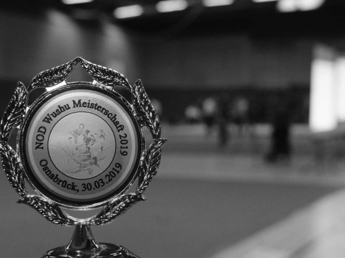 Wushu & Kung-Fu | Osnabrück | Flying Dragons e.V | Kampfsportverein