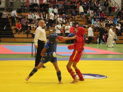 Wushu & Kung-Fu | Osnabrück | Flying Dragons e.V | Kampfsportverein