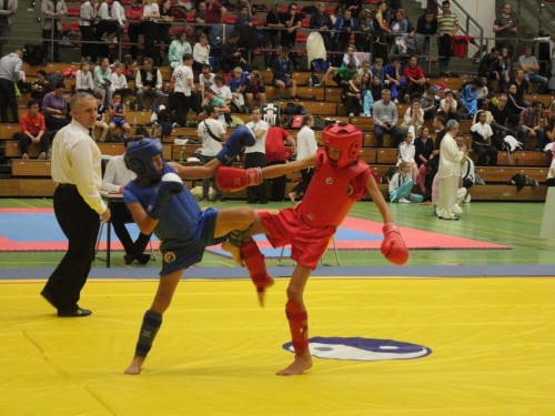 Wushu & Kung-Fu | Osnabrück | Flying Dragons e.V | Kampfsportverein