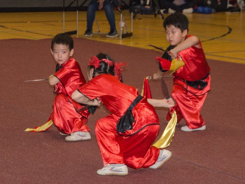 Wushu & Kung-Fu | Osnabrück | Flying Dragons e.V | Kampfsportverein