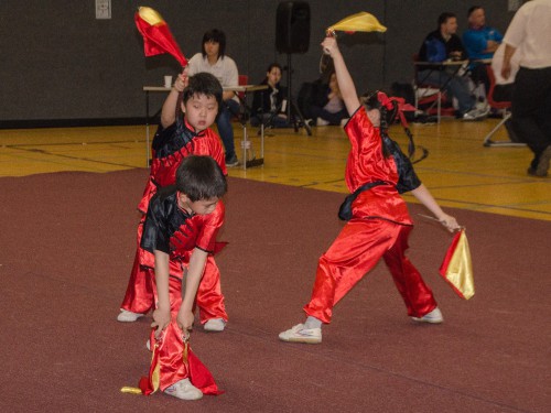 Wushu & Kung-Fu | Osnabrück | Flying Dragons e.V | Kampfsportverein