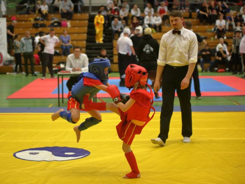 Wushu & Kung-Fu | Osnabrück | Flying Dragons e.V | Kampfsportverein