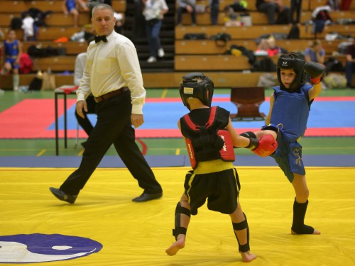 Wushu & Kung-Fu | Osnabrück | Flying Dragons e.V | Kampfsportverein