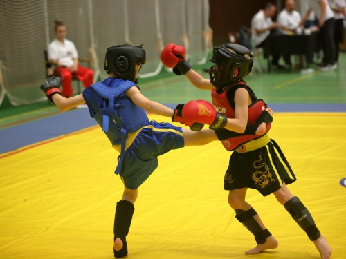 Wushu & Kung-Fu | Osnabrück | Flying Dragons e.V | Kampfsportverein