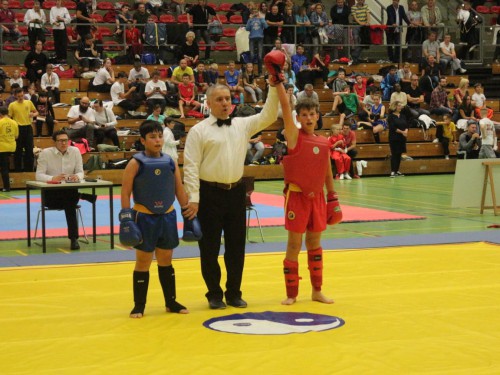 Wushu & Kung-Fu | Osnabrück | Flying Dragons e.V | Kampfsportverein