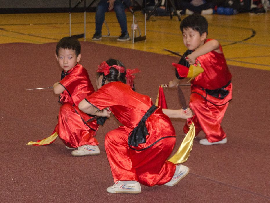 Wushu & Kung-Fu | Osnabrück | Flying Dragons e.V | Kampfsportverein